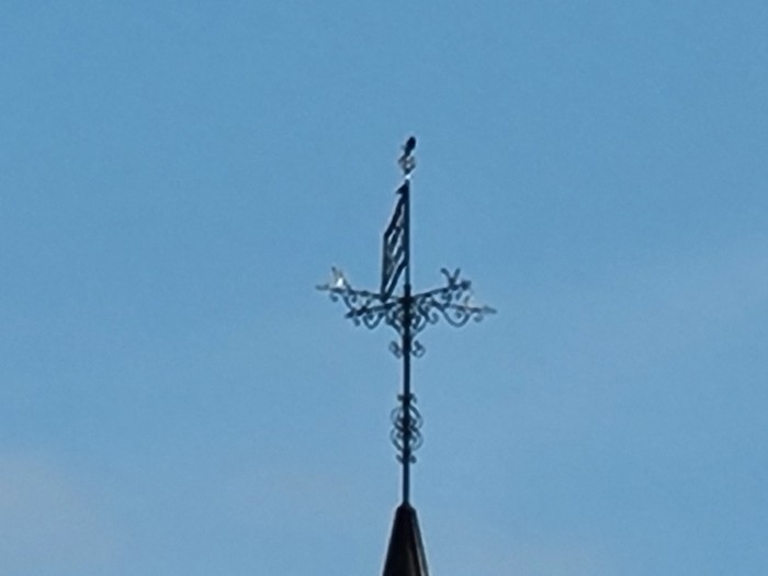 ... und 30-fache Vergrößerung (Bild: Tobias Költzsch/Golem.de)